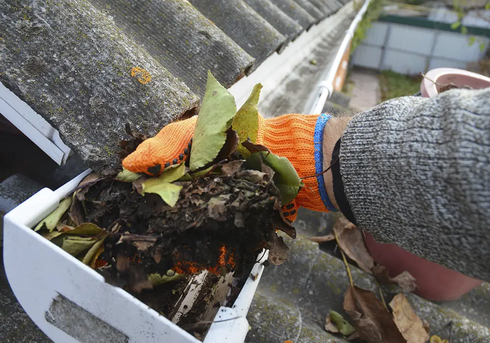 Gutter Cleaning