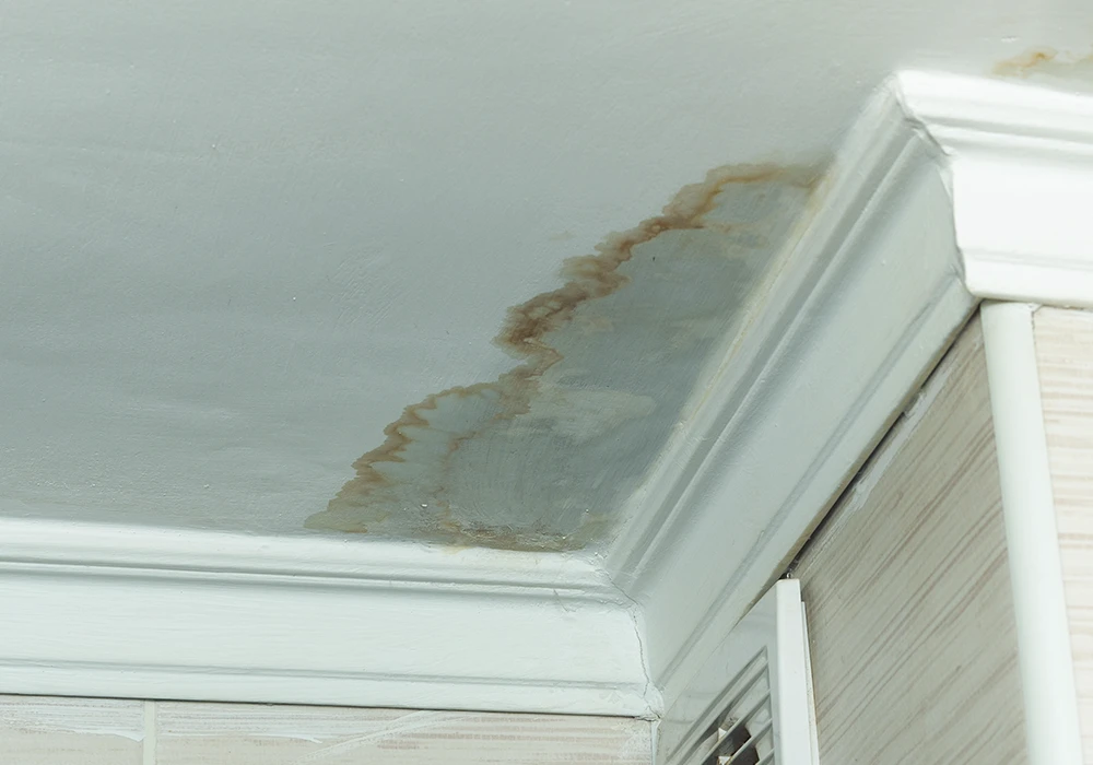 Water Damage